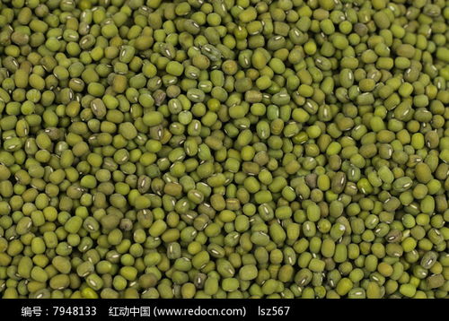 農副產品綠豆高清圖片下載與紅動網食品銷售