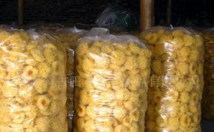 產地直銷，品質無憂 古田銀耳（白木耳）的農副產品魅力